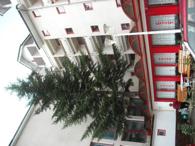 DSCN2676