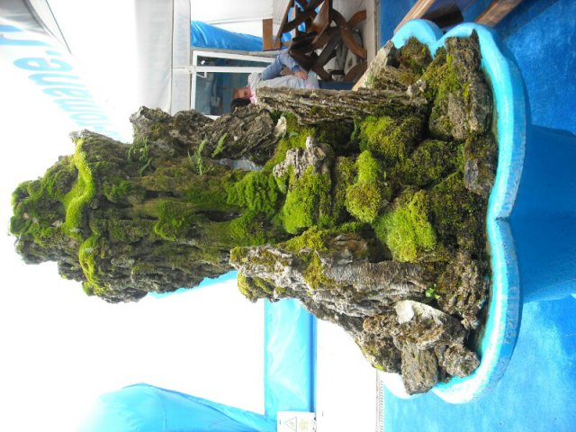 DSCN2681