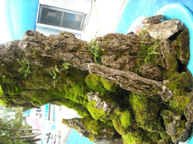 DSCN2682
