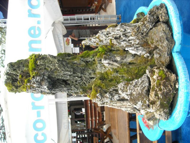 DSCN2683