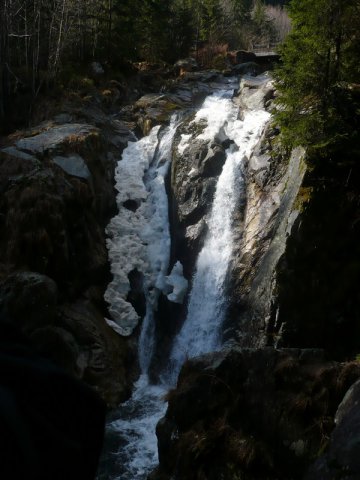 Image-10001