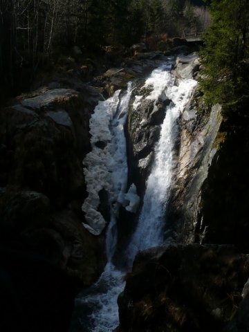 Image-10002