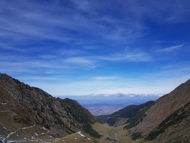 TgJiu